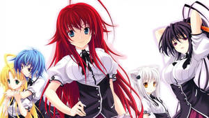 Highschool Dxd Anime Girls Wallpaper