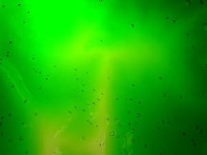 Hijau Dark Dots Wallpaper