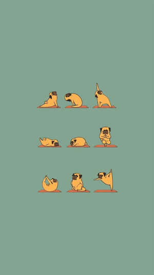Hilarious Dog Doing Yoga Wallpaper