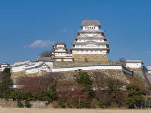 Himeji Castle From Below Wallpaper