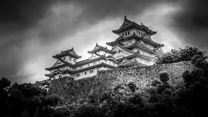 Himeji Castle In Black And White Wallpaper