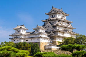 Himeji Castle On A Sunny Day Wallpaper