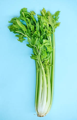 Hip Flat Lay Whole Celery Plant Wallpaper