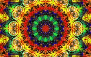Hippie Kaleidoscope Design Tiger And Butterfly Wallpaper