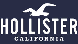 Hollister Classic Logo With Seagull Wallpaper