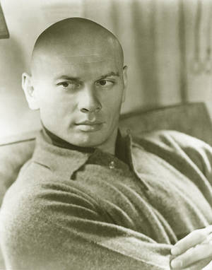 Hollywood Actor Yul Brynner 1962 Portrait Wallpaper