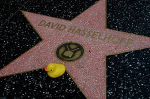 Hollywood Walk Of Fame David Hasselhoff Wallpaper