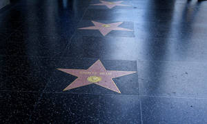 Hollywood Walk Of Fame Path Walk Wallpaper