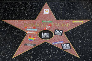Hollywood Walk Of Fame Trump Star Wallpaper