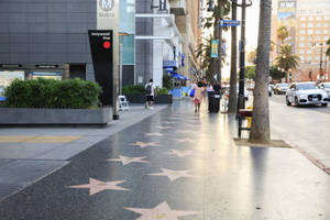Hollywood Walk Of Fame Vine Street Wallpaper