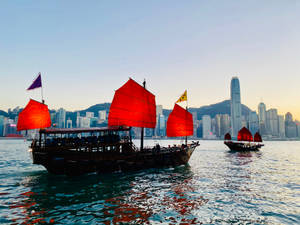 Hong Kong Dukling Harbor Cruise Wallpaper