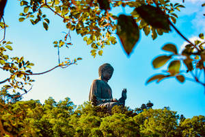 Hong Kong The Big Buddha Wallpaper