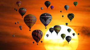 Hot Air Balloon Large Sun Wallpaper