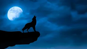 Howling Wolf And Galaxy Moon Wallpaper