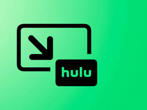 Hulu Family Icon Wallpaper