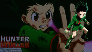 Hunter X Hunter Gon Wallpaper