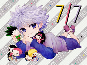 Hunter X Hunter Plushies Killua Aesthetic Wallpaper