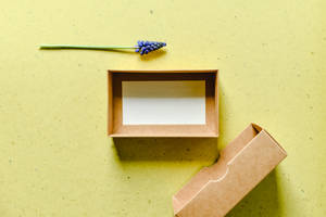 Hyacinth Empty Box Wallpaper