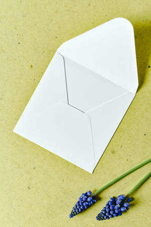 Hyacinth Empty Envelope Wallpaper