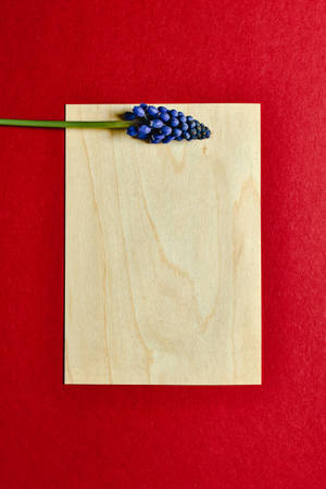 Hyacinth Flower Wooden Board Wallpaper
