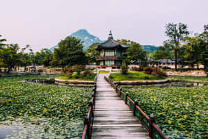 Hyangwonjeong Pavilion At Gyeongbokgung Palace Wallpaper