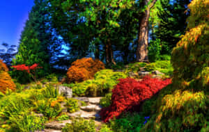 Hyper Realistic Sizergh Castle Garden Shrubs Wallpaper