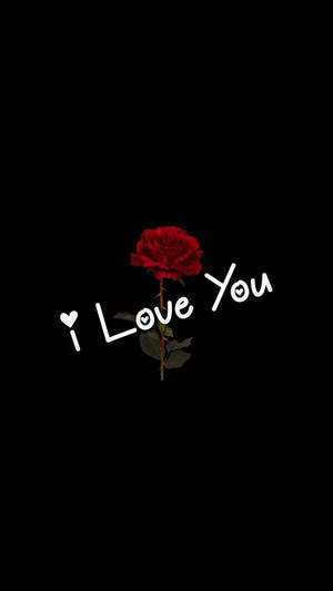 I Love You Red Rose Wallpaper