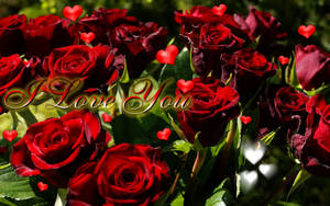 I Love You So Much With Roses Wallpaper