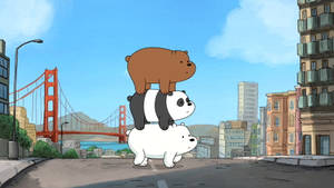 Ice Bear Panda Grizzly Golden Gate Bridge Wallpaper