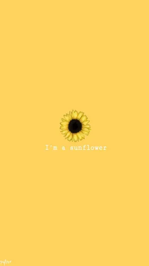 Icon Sunflower Yellow Tumblr Aesthetic Wallpaper