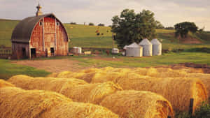 Idyllic_ Farm_ Scene_with_ Hay_ Bales Wallpaper