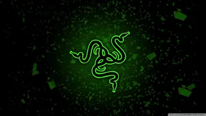 Illuminate Your Gaming Set-up With Razer Chroma Wallpaper