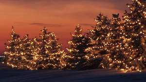 Illuminate Your Holiday Season With A Festive Display Of Gold Christmas Lights. Wallpaper