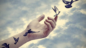 Illusion Flying Birds Wallpaper