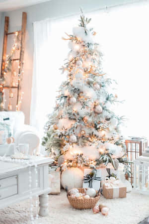 Image Adorable Pastel-themed Christmas Decor Wallpaper