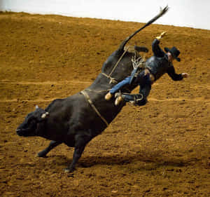 Image Bull Riding At The Rodeo Wallpaper