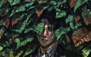 Image Levi Ackerman Desktop Wallpaper Wallpaper