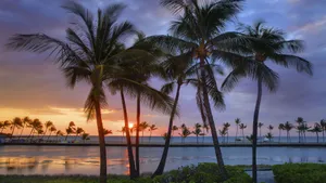 Image The Beauty Of Aesthetic Hawaii Wallpaper