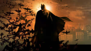 Image #thedarkknight - Michael Cain As Alfred Pennyworth Wallpaper