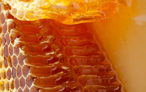 Impressive Raw Honey Macro Photography Wallpaper