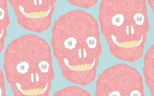 Indie Aesthetic Skull Wallpaper