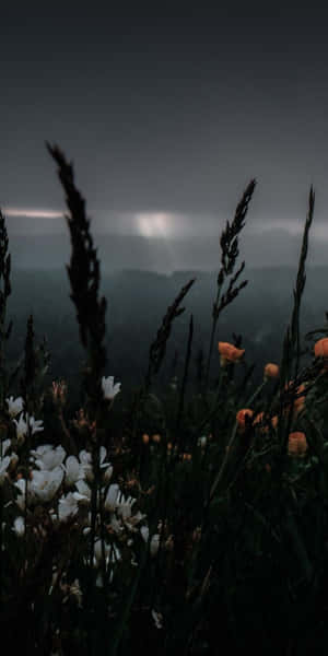 Indie Flower [wallpaper] Wallpaper