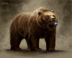 Intellectual Kodiak Bear With Eyeglasses Wallpaper