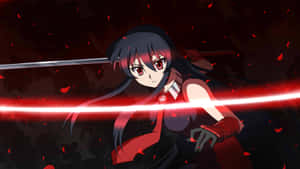 Intense Akame Ga Kill 4k Wallpaper Wallpaper