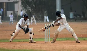 Intense Cricket 4k Wallpaper