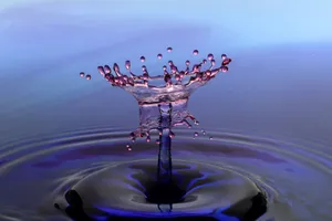 Intricate 3d Water Flower Splash Wallpaper