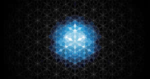 Intricate Sacred Geometry Patterns Wallpaper