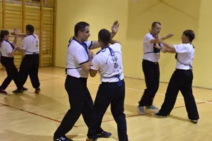 Intricate Wing Chun Group Training Session Wallpaper