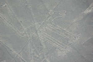 Intriguing Arial View Of Nazca Lines Wallpaper
