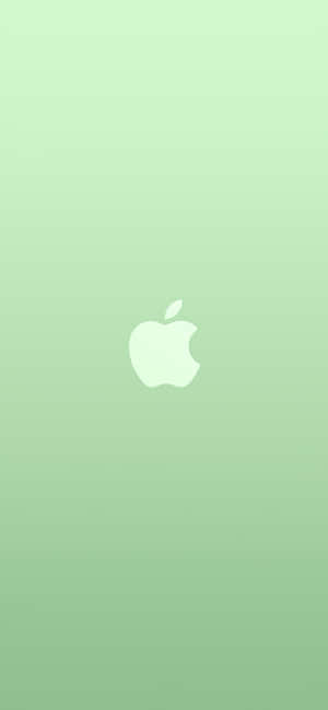 Iphone 11 Apple Logo Green Background Wallpaper